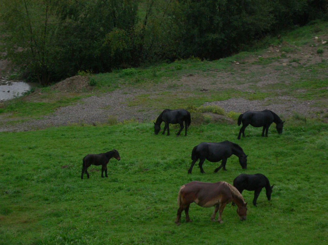 Hotel Cal Martri主图