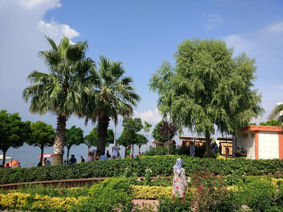 Altinkemer Local Beach景点图片