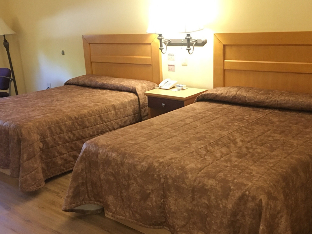 Hotel Oliver Inn Toluca主图