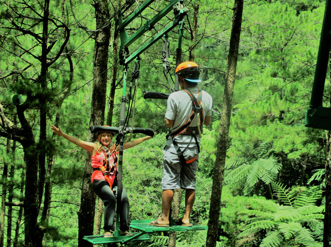 Tree Top Adventure-碧瑶必去景点