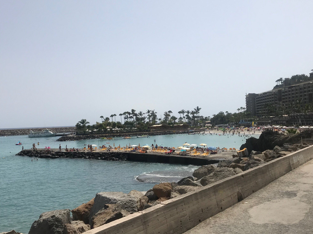 Aquamarina Hotel Montemarina and Hotel Aquamar主图
