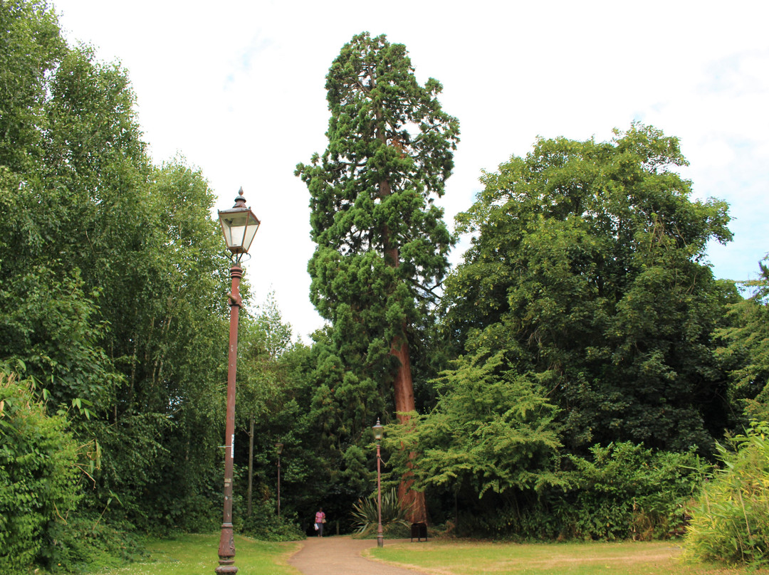 Horsham Park景点图片