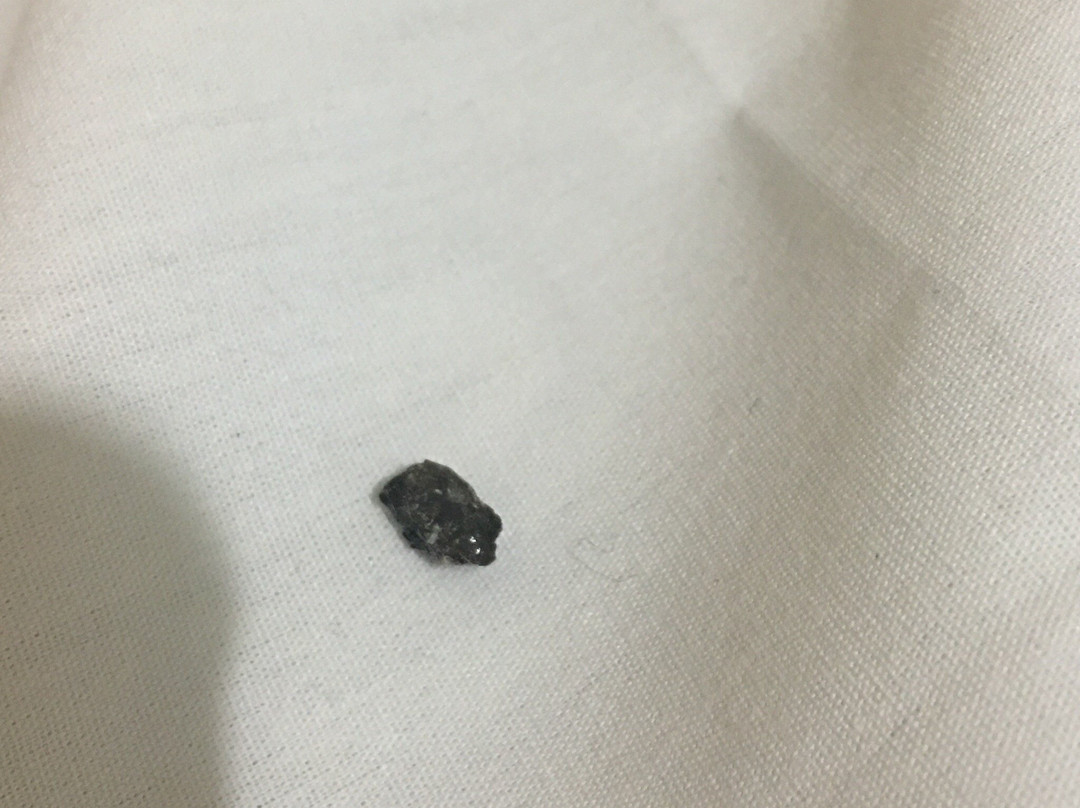 Ell Palace Hotel主图