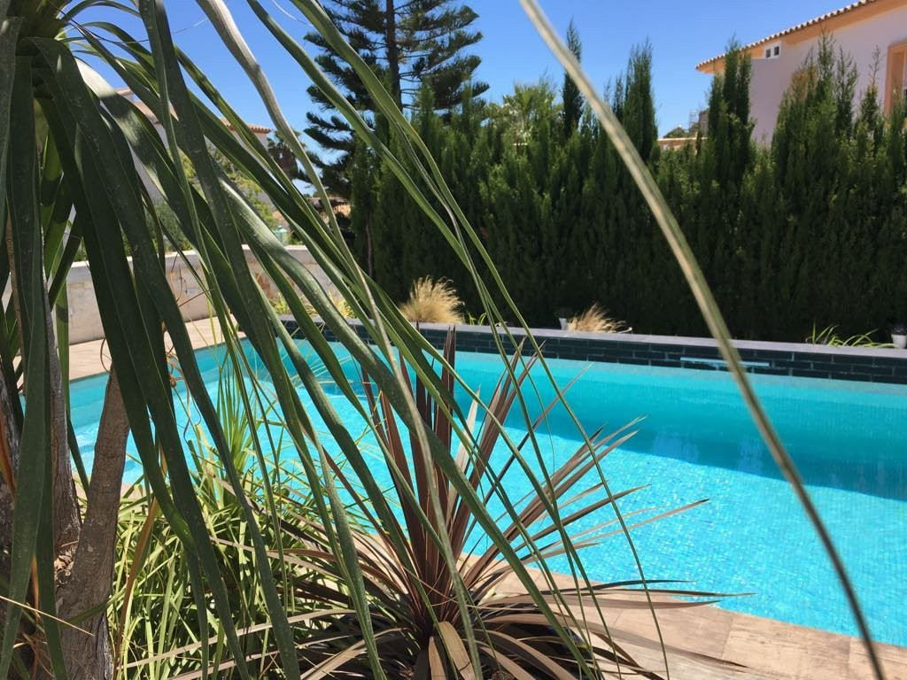 One Thousand Waves主图