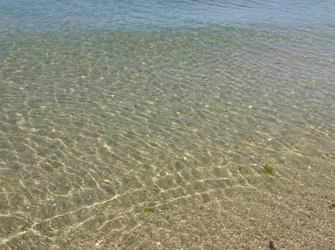 Plage de Cornouaille景点图片