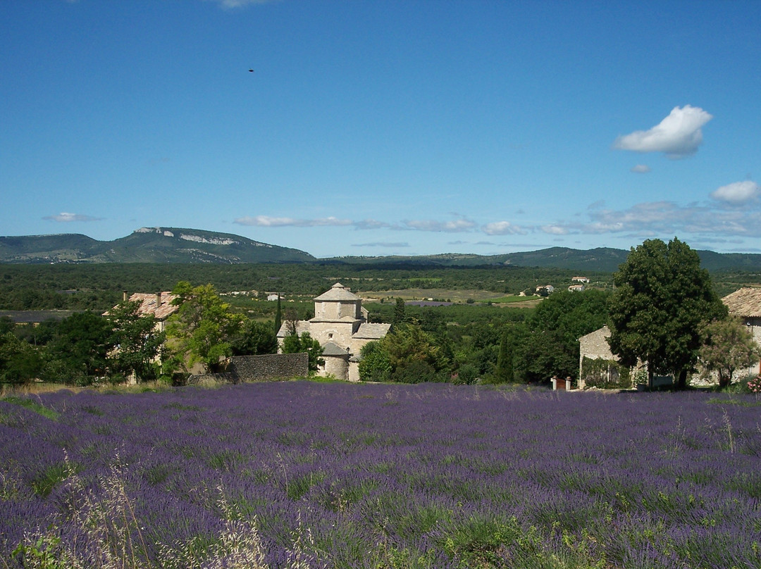 Gorges de l'Ardèche Tourism, in Larnas景点图片