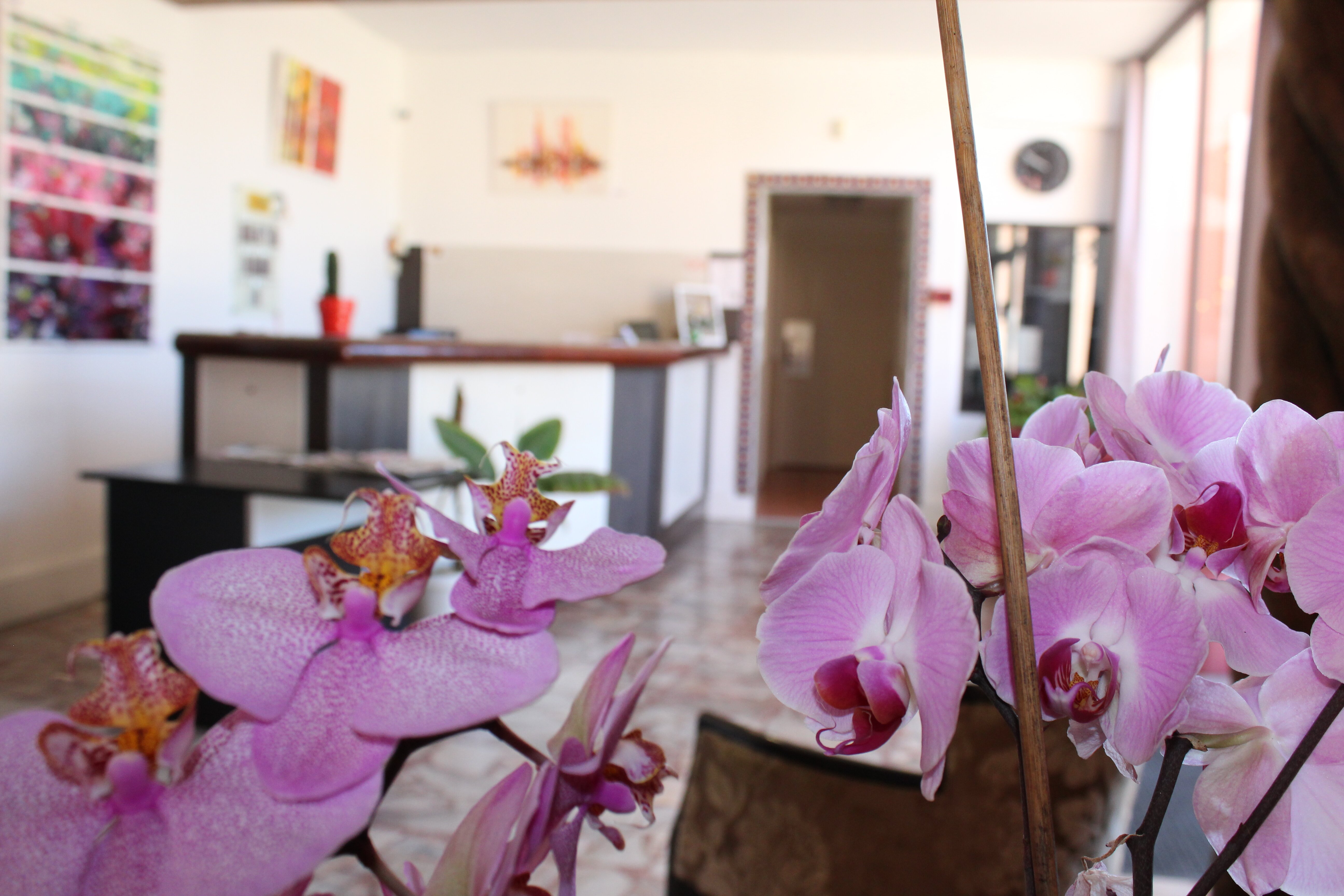 大庄园酒店-官方