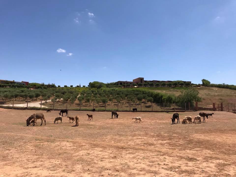 Le Palais Paysan-浴室