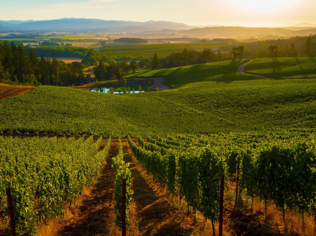 Eola Hills Wine Cellars-Rickreall必去景点