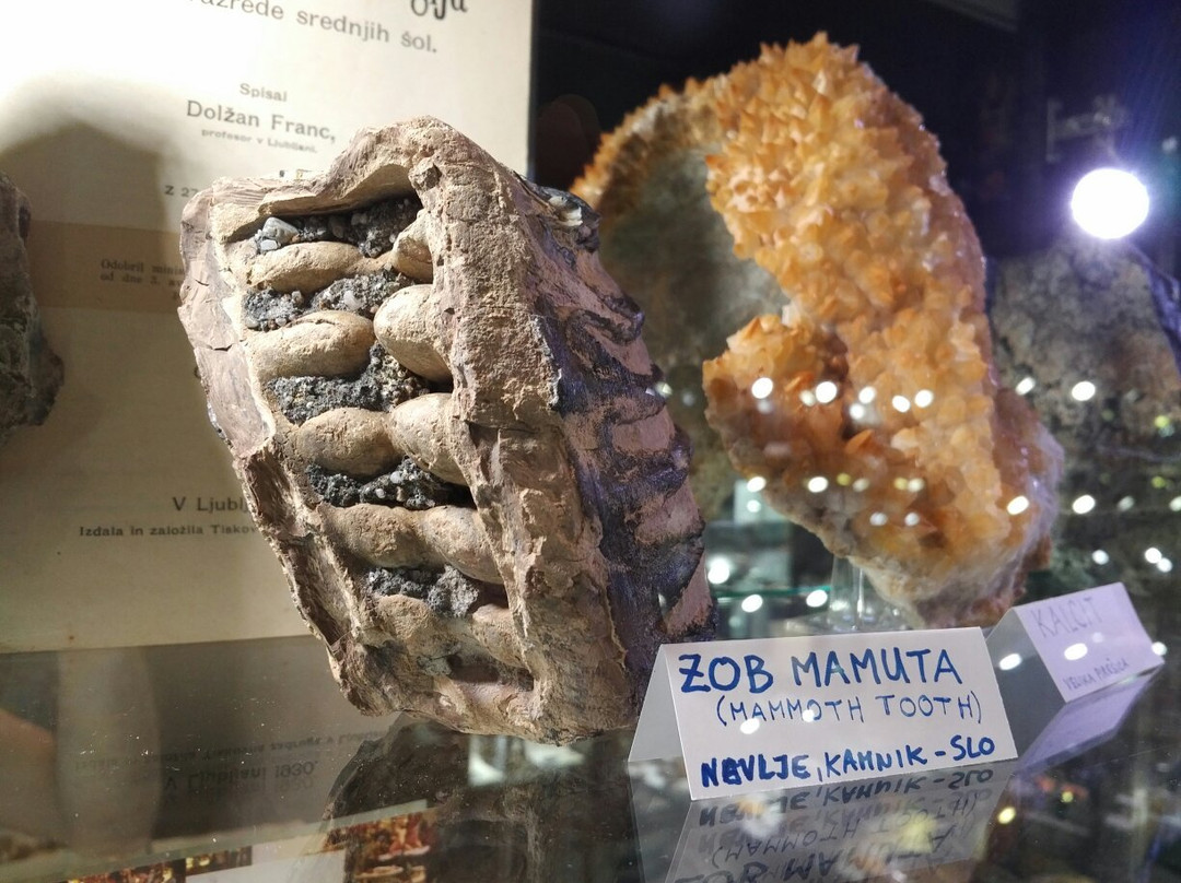 The House of Minerals-Velenje必去景点