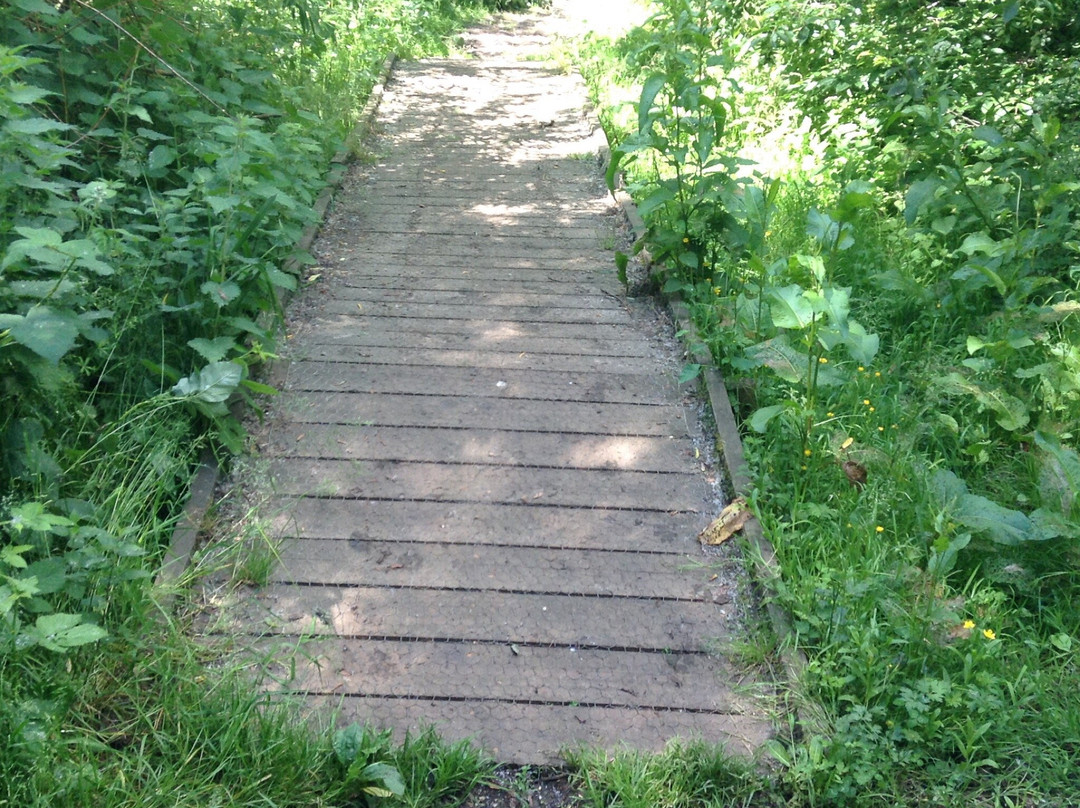 Loddon Nature Reserve-Twyford必去景点