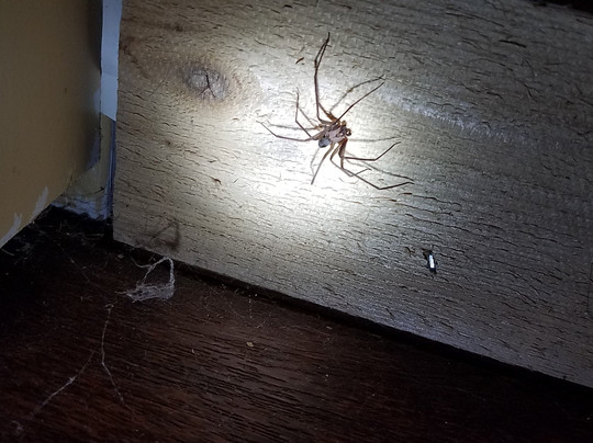 Tuttle旅游攻略图片