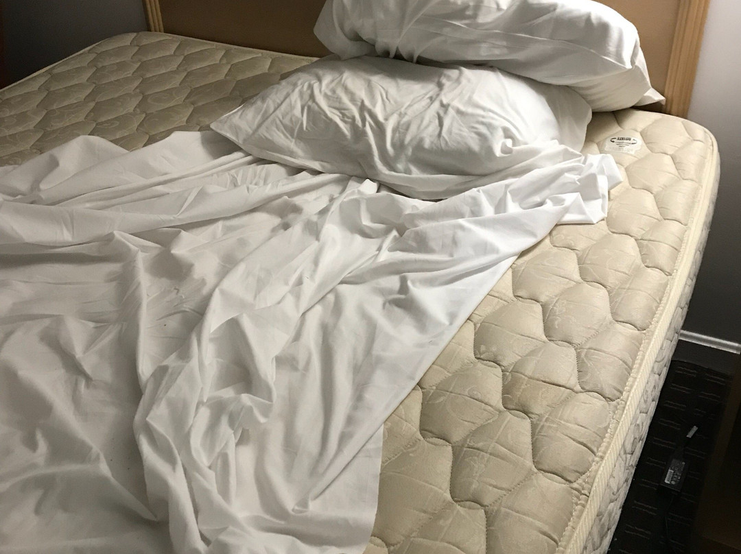 Royal Inn Motel主图