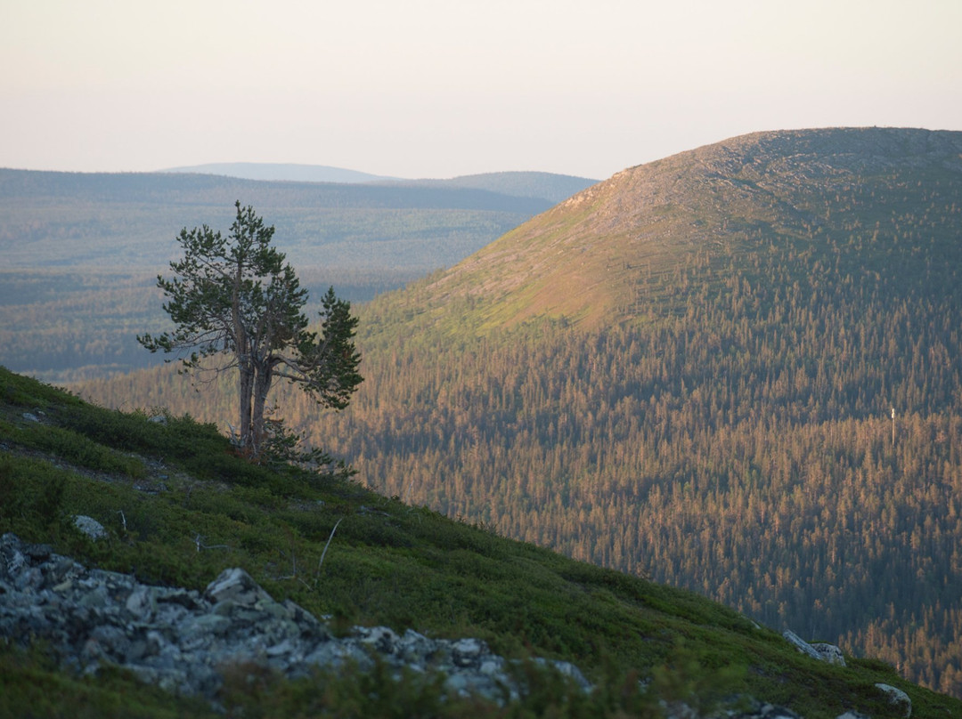 Discover Lapland-Sirkka必去景点