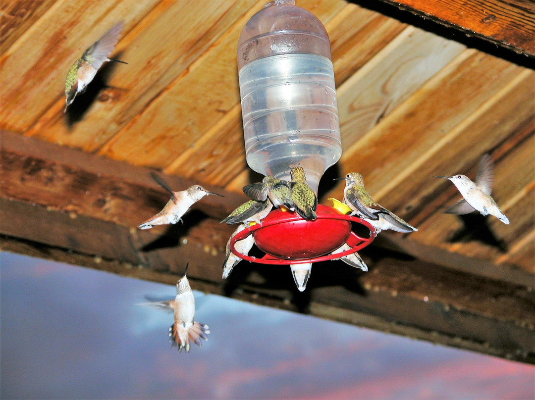 Valley Creek Lodge and RV Park主图