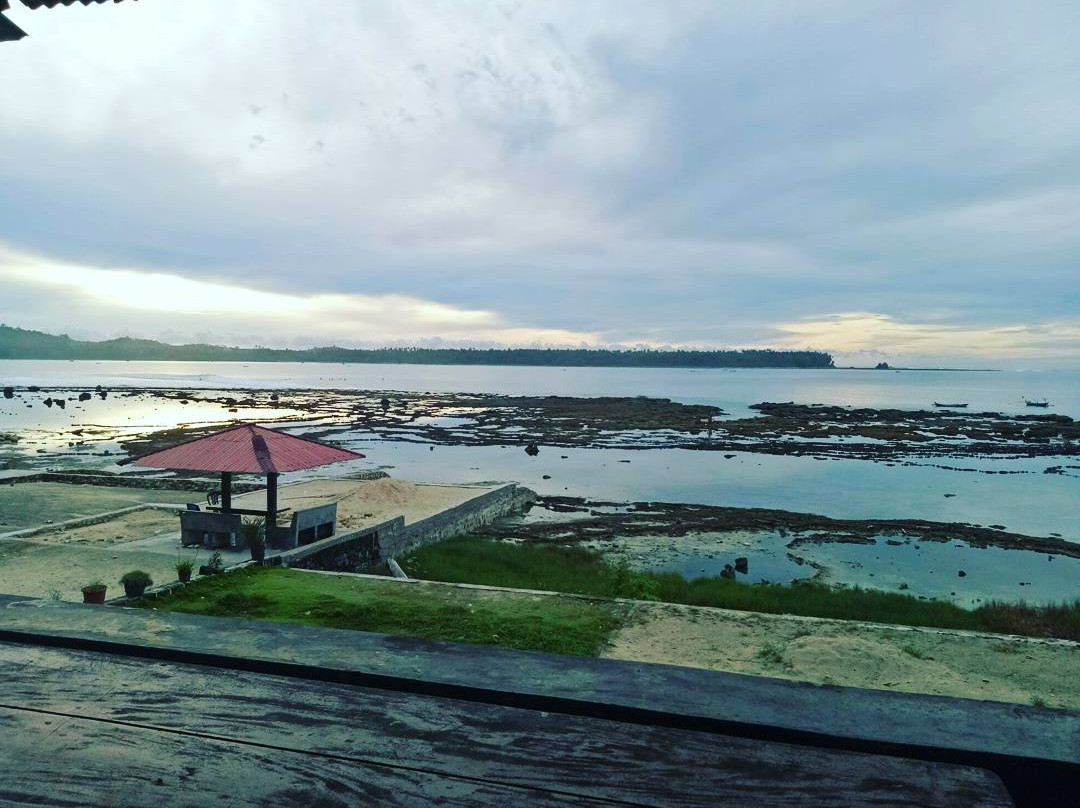 Pleasure Surf Camp主图