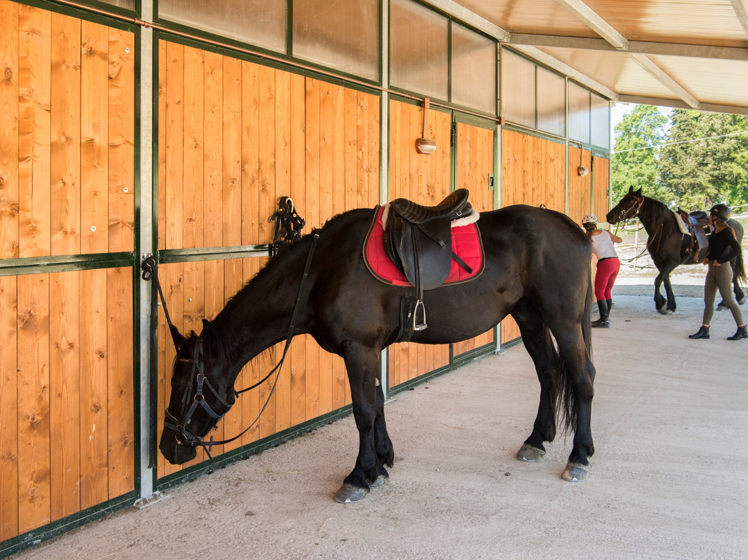 Borgo Pignano Horseback Riding景点图片