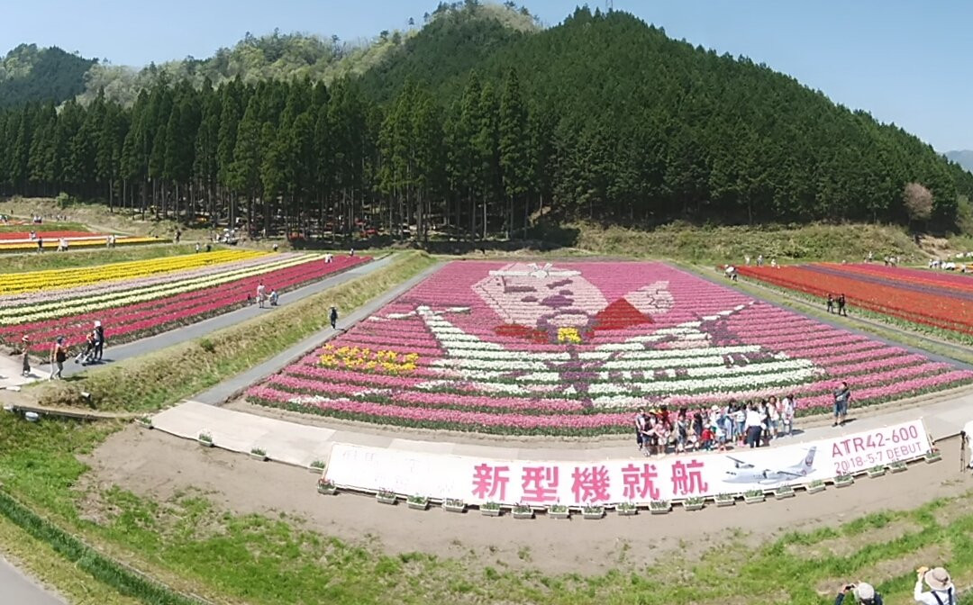 Tanto Flower Park-丰冈市必去景点