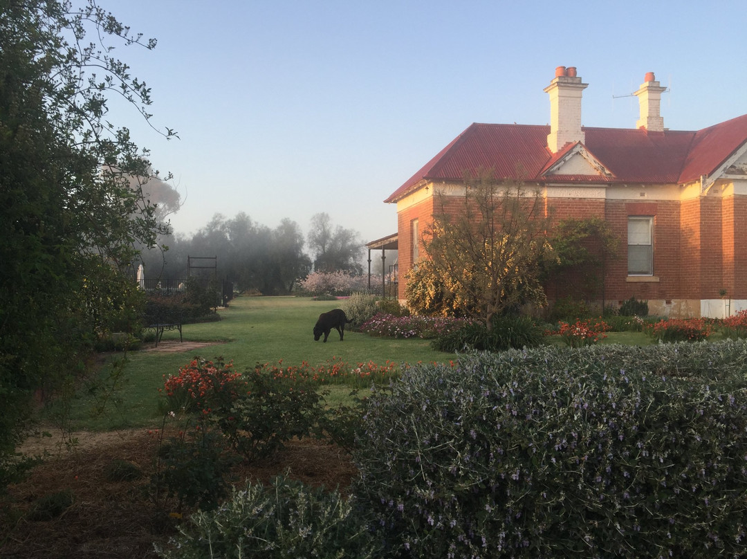 Glencara - Home of the Rustic Maze & Country Garden-Monteagle必去景点