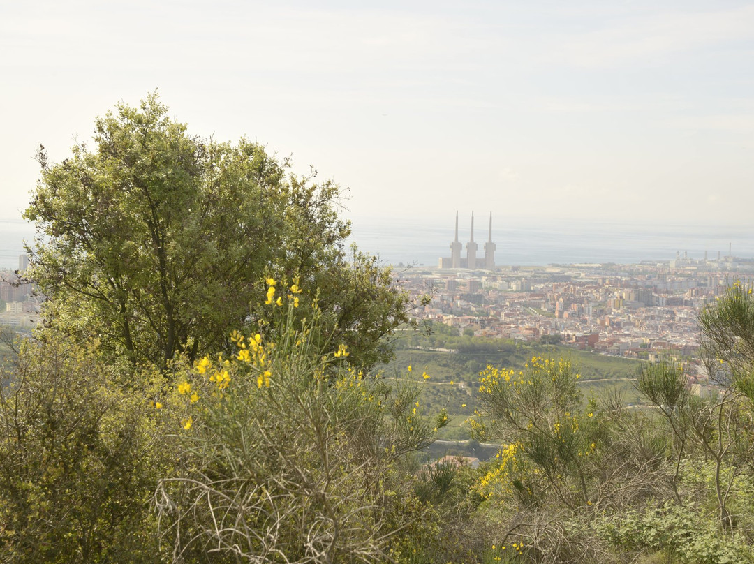 Poblat Iberic Puig Castellar景点图片