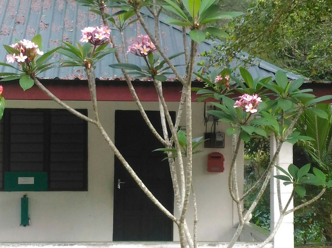 Riverside Janda Baik-武吉丁宜高原必去景点