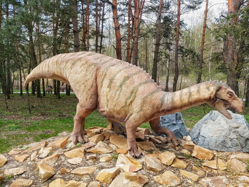 Belgorod Dinopark景点图片