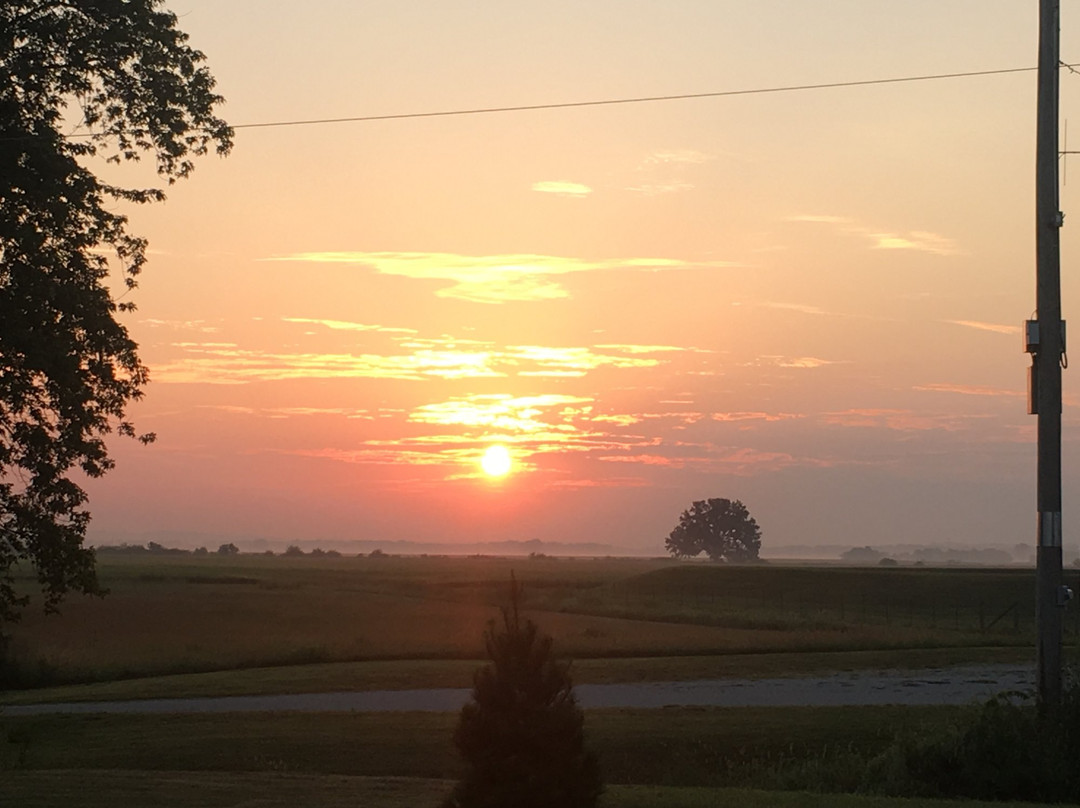 The Doll House Bed & Breakfast主图