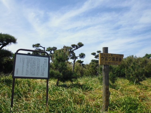 Umiu Observation Deck-三浦市必去景点