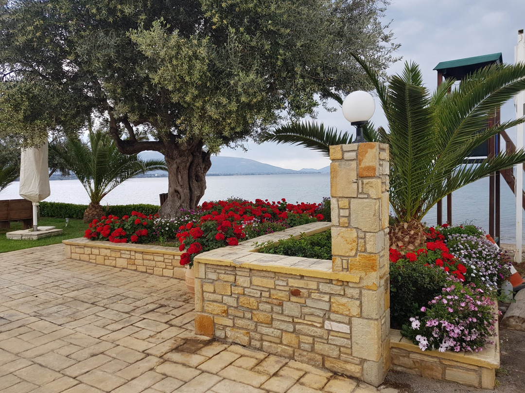 Avantis Suites Hotel主图