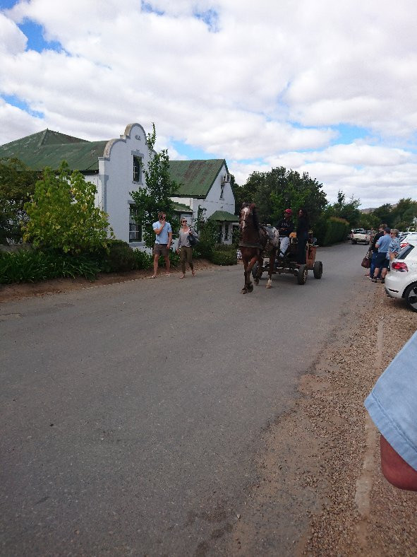 Greyton Saturday Market-Greyton必去景点