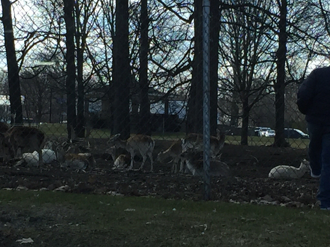 Bennington Welcome Center-本宁顿必去景点