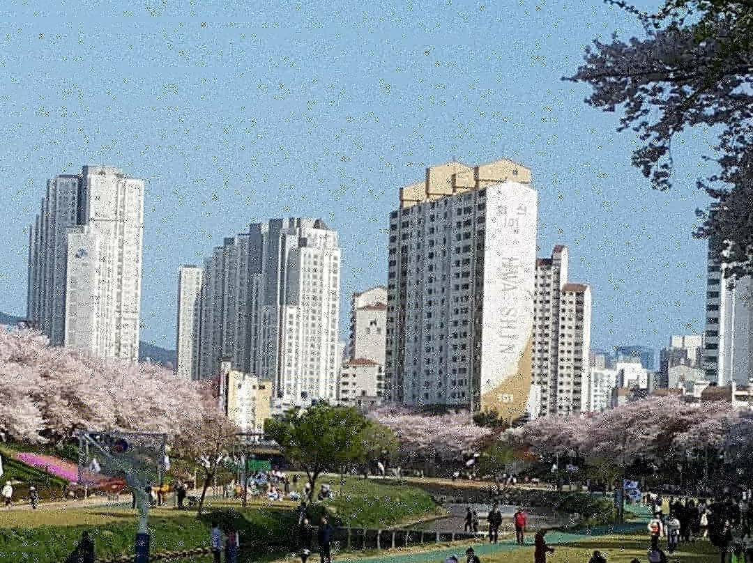 Onchonchon Citizen's Park景点图片