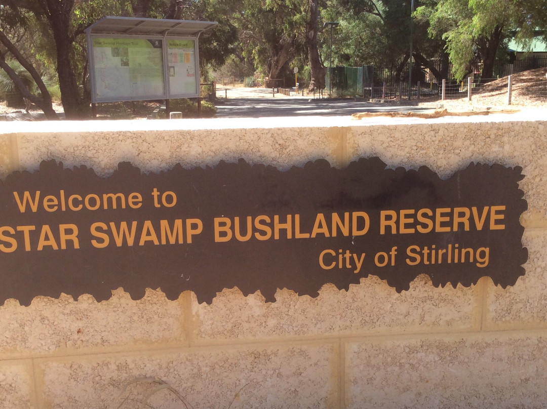 Star Swamp Bushland Reserve景点图片