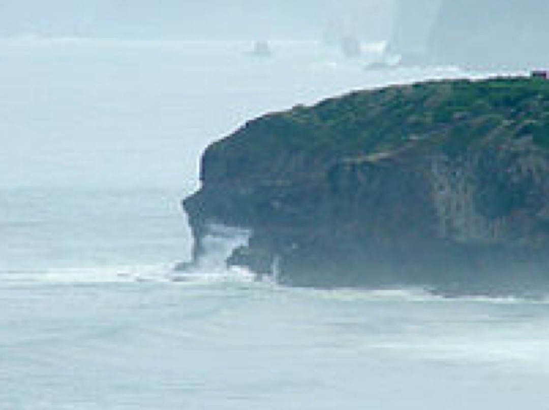 Dunedin Beach景点图片