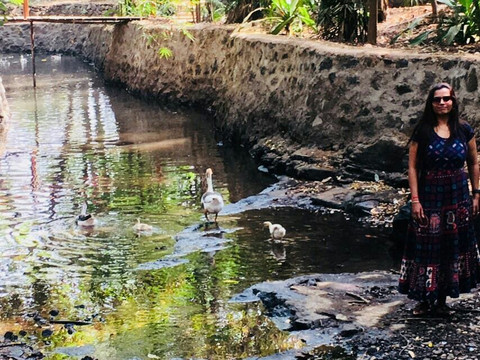 Hidden Village主图