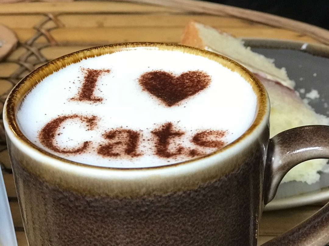 You&Meow Cat Cafe景点图片