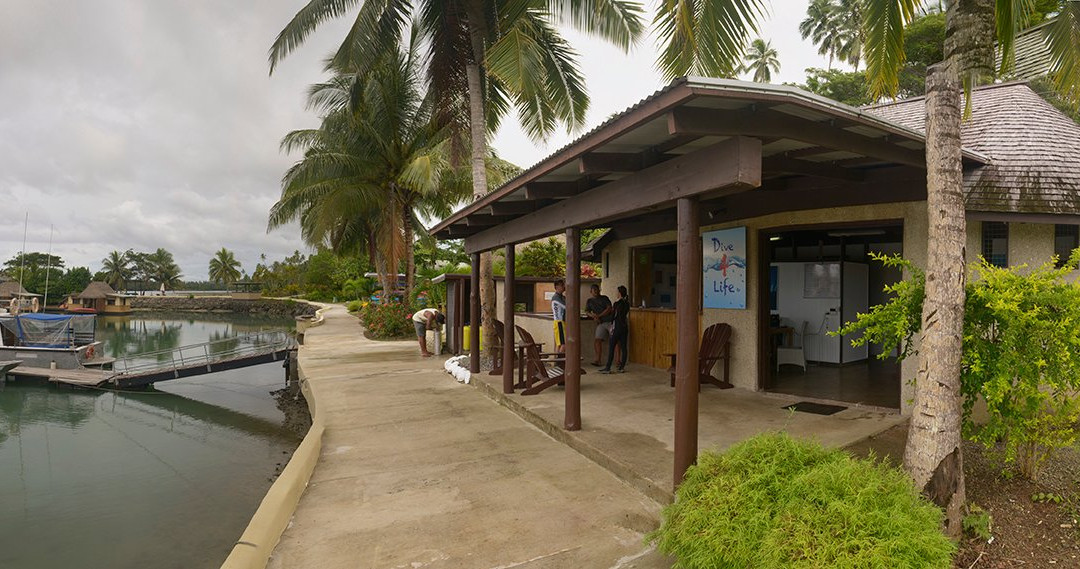 Dive Savusavu Fiji景点图片