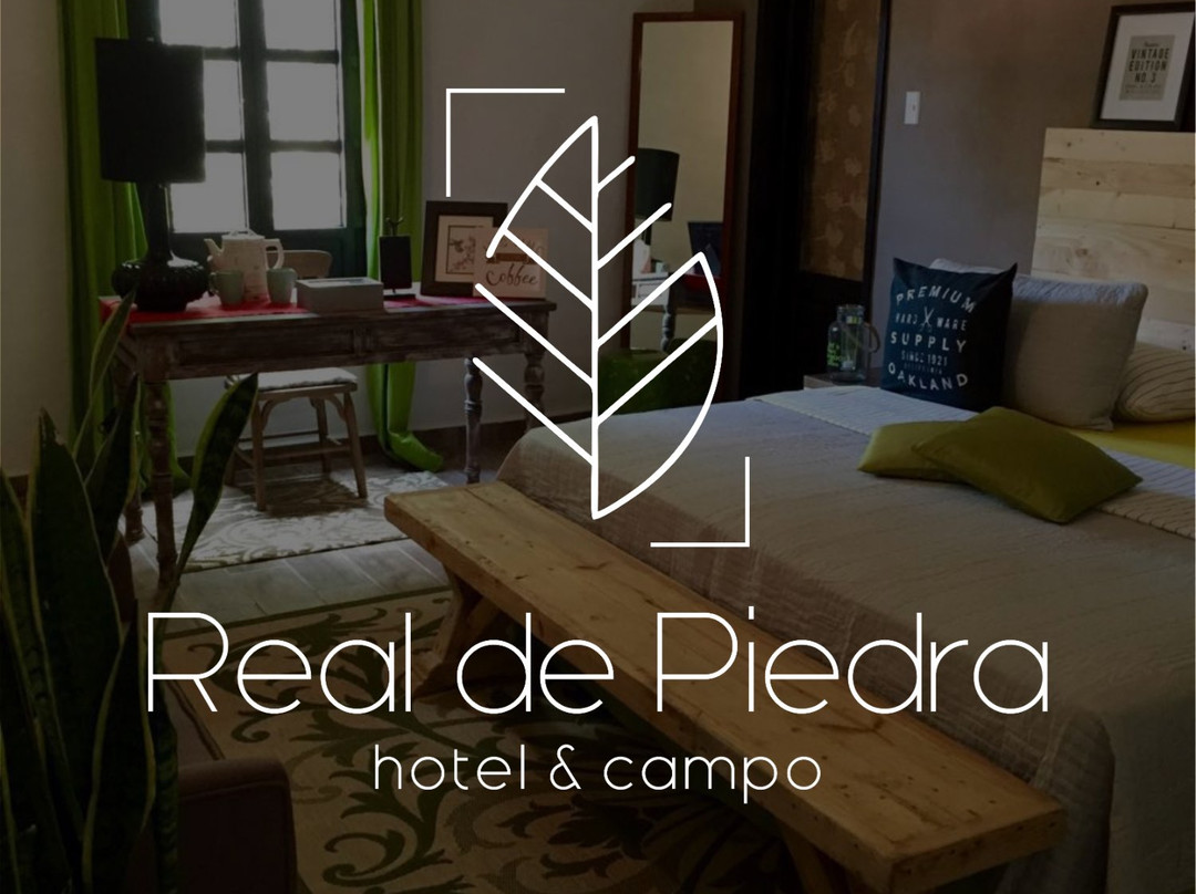 Hotel Real de Piedra主图