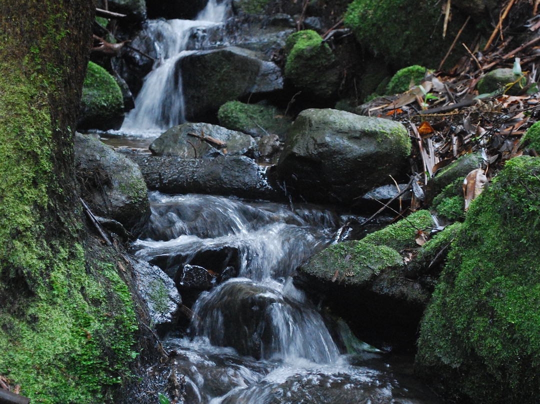 Rocky Creek Art Garden B&B主图