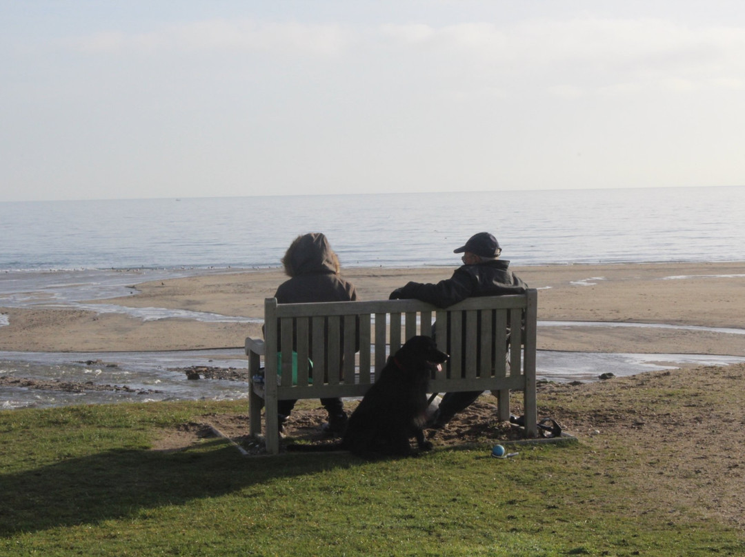 The Cove Bed & Breakfast主图