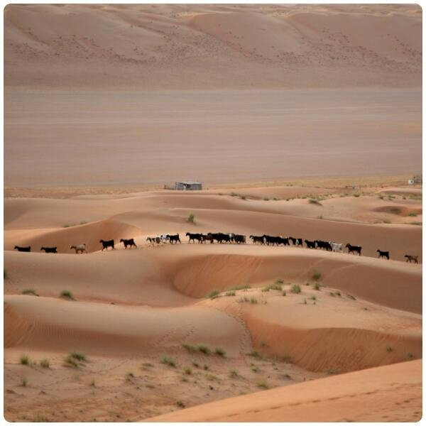 Coastal Trip Tourism-Al Hadd必去景点