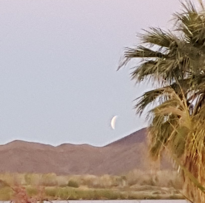 Mittry Lake Wildlife Area-尤马必去景点