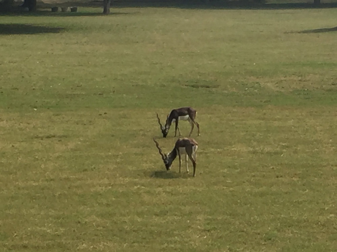 Akbar's Tomb-Sikandra必去景点