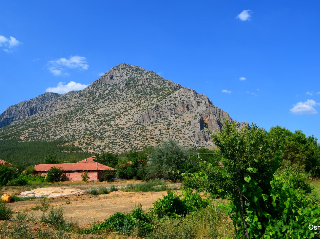 Travel on Turkey - Day Tours景点图片