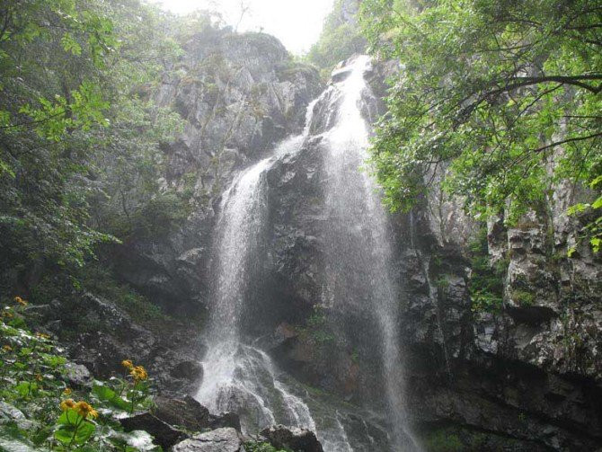 Boyana Waterfall景点图片