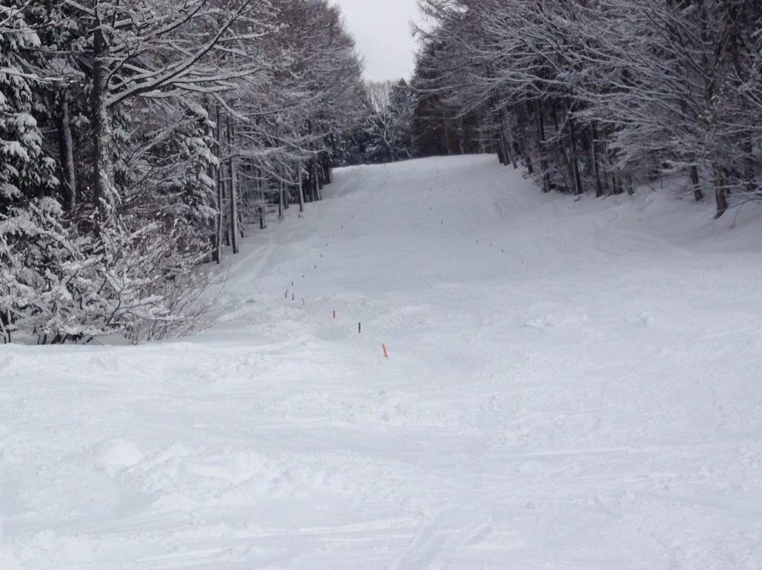Washigatake Ski Area-郡上市必去景点