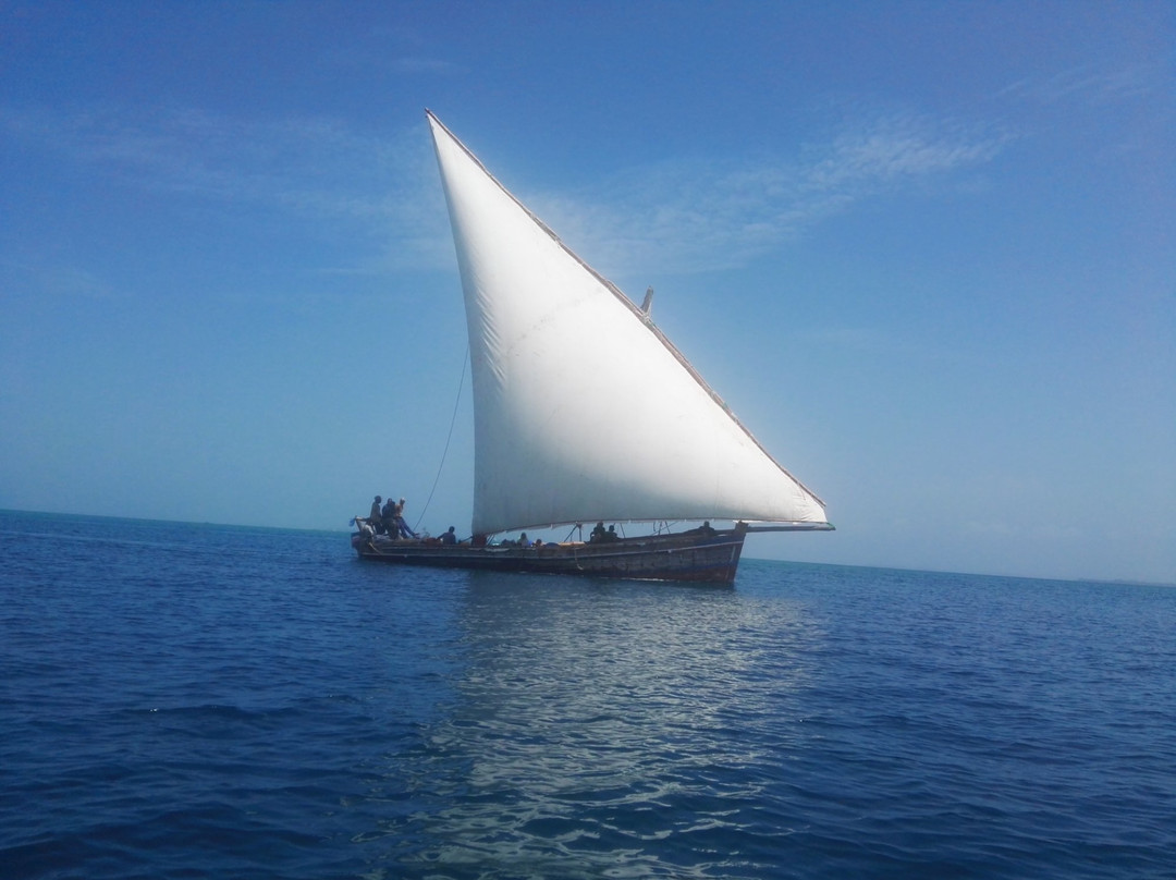 Misali island-奔巴岛必去景点