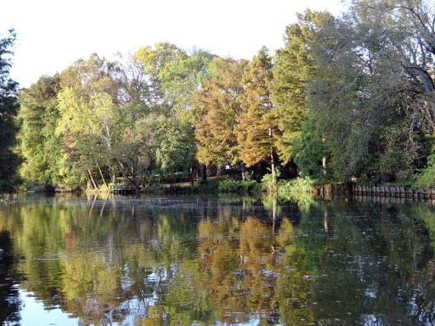 Duck Pond-什里夫波特必去景点