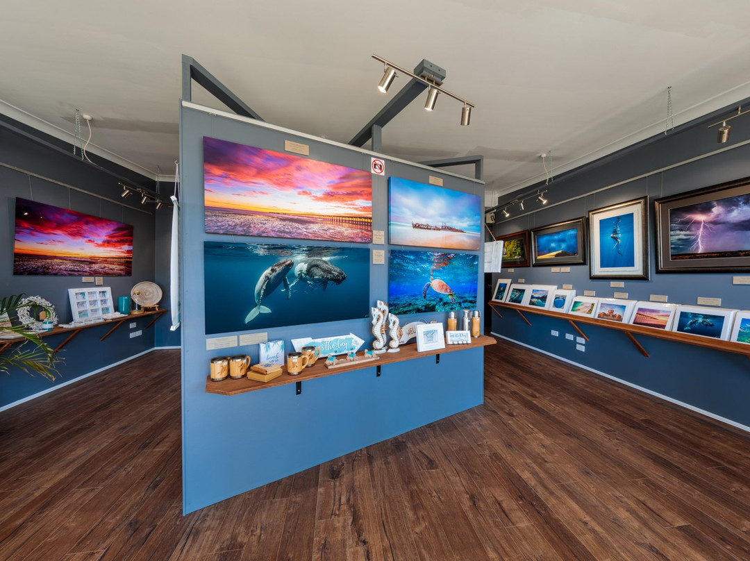 Into The Wild Photography-赫维湾必去景点