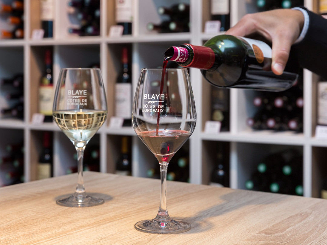 Maison du Vin de Blaye景点图片